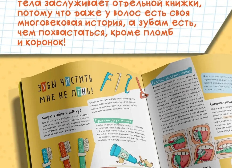 Эмаль, дёсны и микрофлора: чем может навредить чрезмерная гигиена полости рта