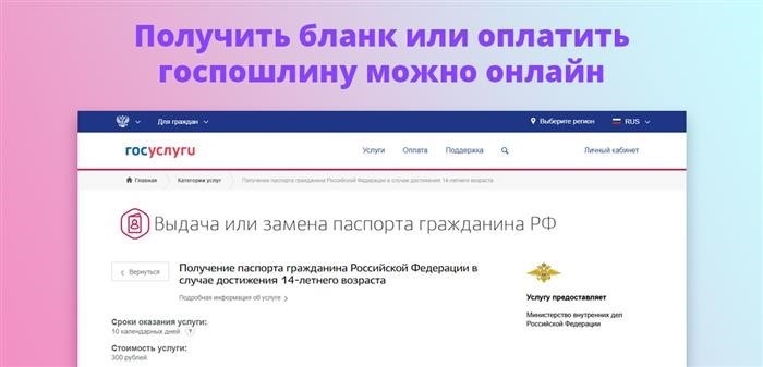 Есть возможность получить бланк или оплатить государственную пошлину через интернет.