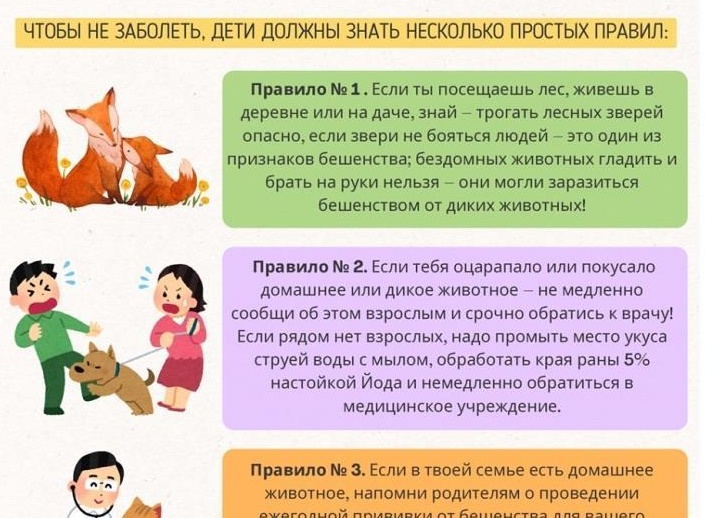 Бешенство после царапины: почему медлить нельзя