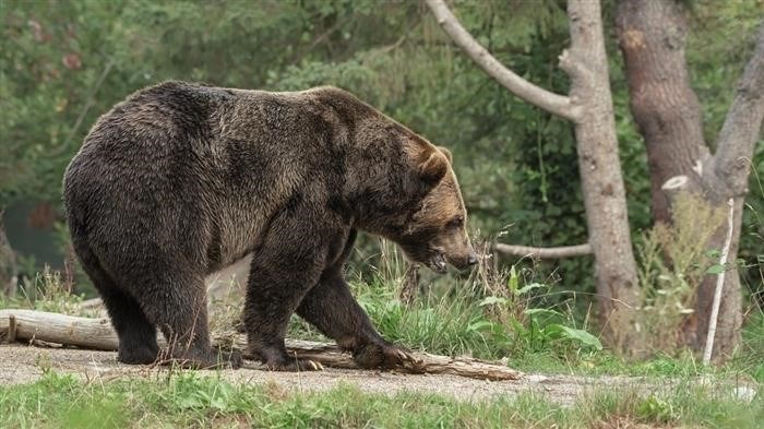 У вас в холодильнике пусто? Я ухожу отсюда.